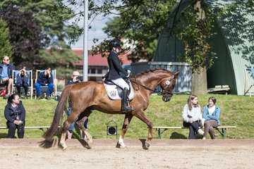 Bild 169 - Pony Akademie Turnier